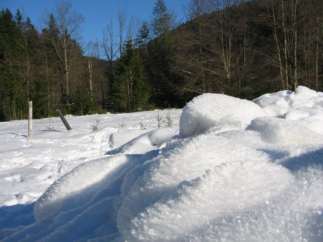 IMG_1002 [640x480].jpg