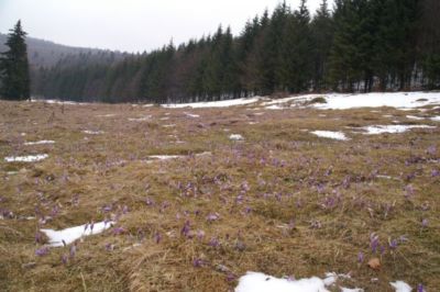 PICT0129.JPG