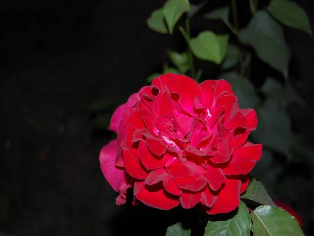 Picture 003 [].jpg
