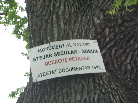 Monument al naturii.jpg