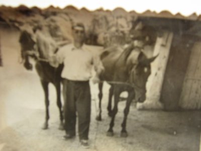 bunicul cu caii din dotare ,de mic am stat in preajma cu diverse animale,si am ramas cu dragoste fata de ele