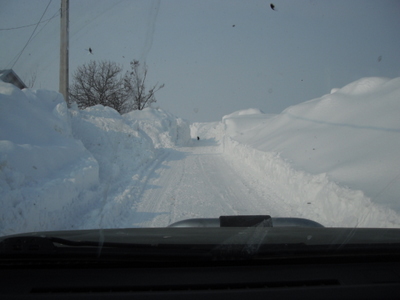 DSCF5932.JPG