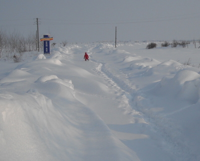 DSCF5951-1.JPG