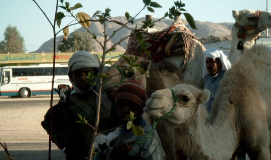 O familie de tuaregi in desert pe langa convoiul de masini vand tesaturi de casmir. In spate se vad muntii desertificati.