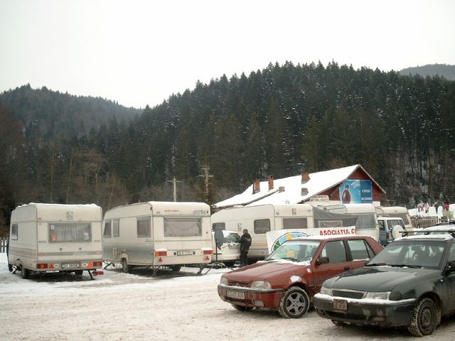 Aceeasi curajosi