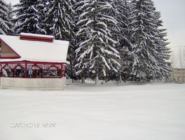 Picture 047 [640x480] [320x200].jpg