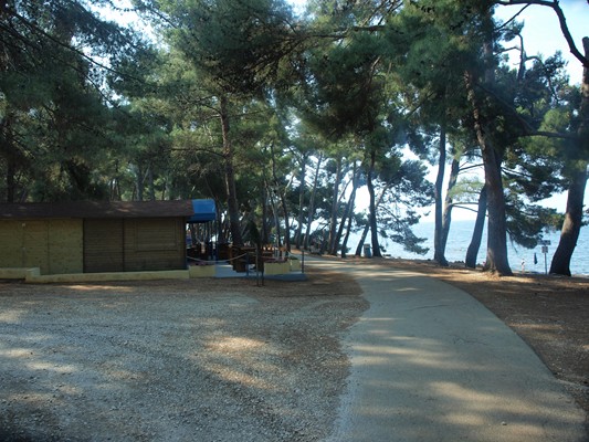 P7053156 (Copy).JPG
