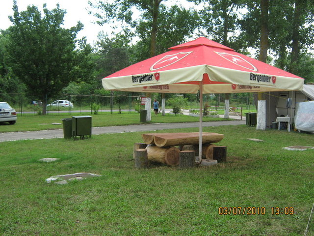 pal10.jpg