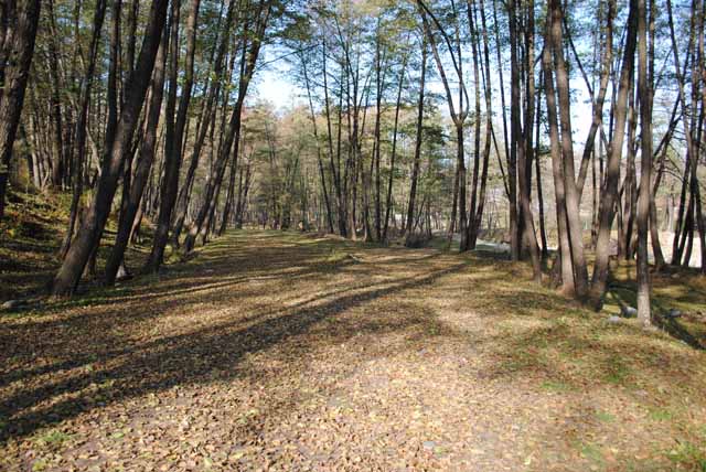 alta zona de campare - pe celalalt mal si mai este una langa podul de acces spre pestera...