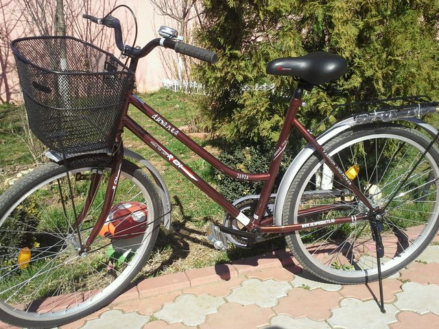 20130320_140000.jpg