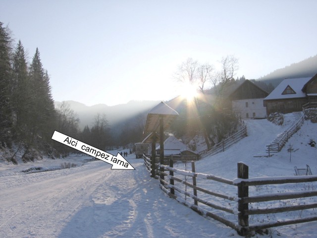 plaiul foii4.jpg