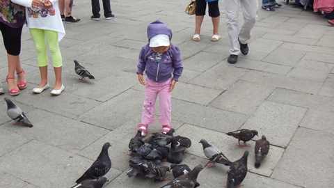 pe care sa-l prind?