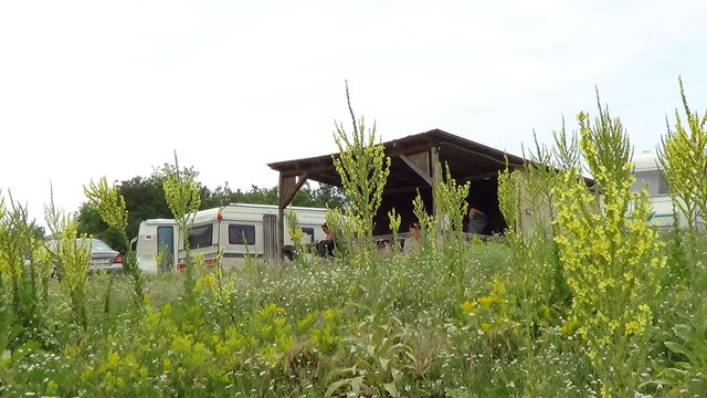 DSC00271.JPG