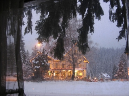 29 decembrie 2005.jpg