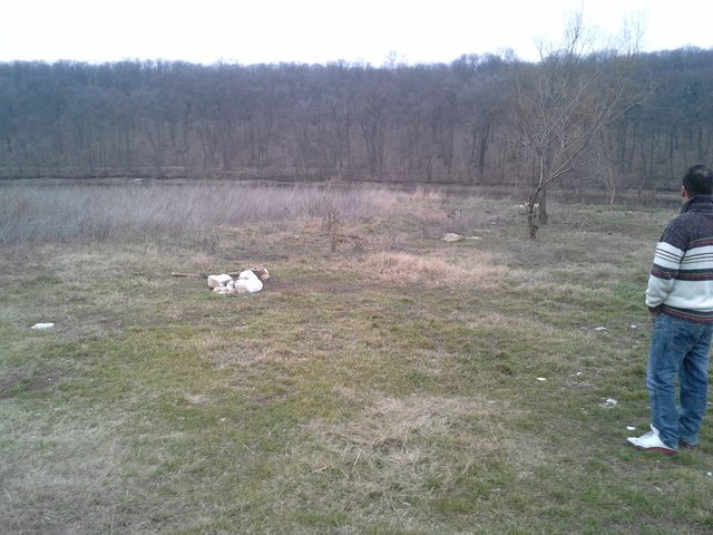 20140226_171204.jpg