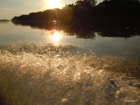 DSCN6172.JPG