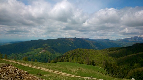 DSC_0048_1.JPG