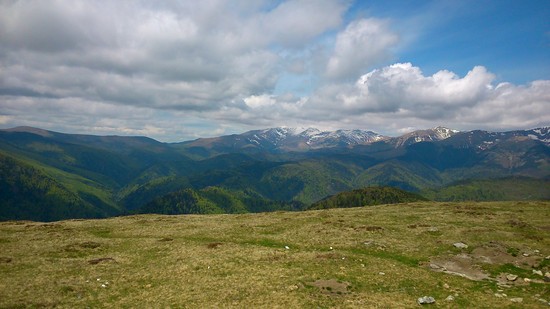 DSC_0058_1.JPG