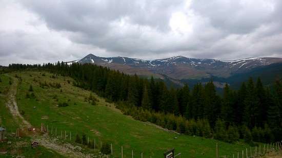 DSC_0080.JPG