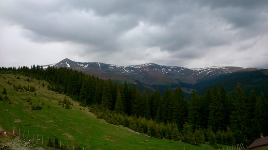 DSC_0096.JPG
