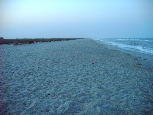 plaja salbatica la Vadu