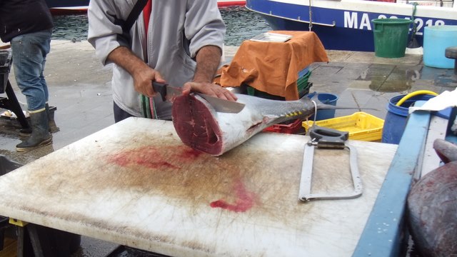 in piata de peste din portul marsiliei