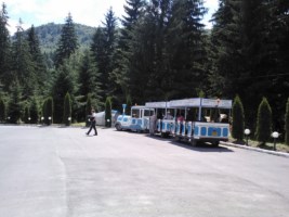 Valea Zinelor iunie 2014 043 [320x200].jpg