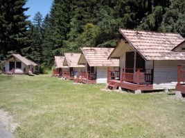 Valea Zinelor iunie 2014 047 [320x200].jpg