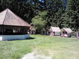 Valea Zinelor iunie 2014 048 [320x200].jpg