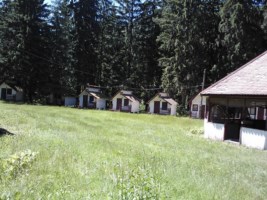 Valea Zinelor iunie 2014 049 [320x200].jpg