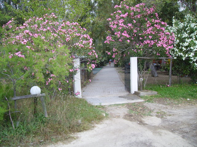 PICT1203.JPG
