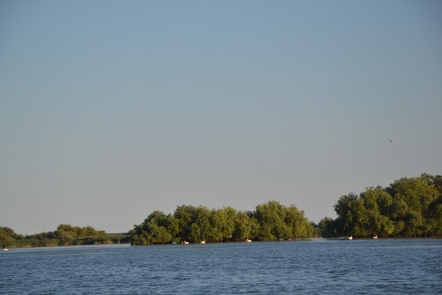 DSC_0101 (Copy).JPG