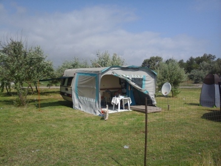 Ena1_100222.jpg