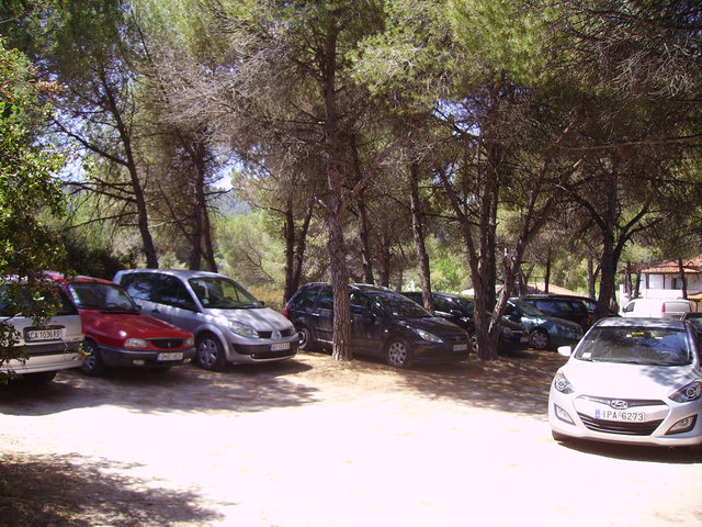 PICT1324.JPG