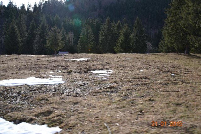 DSC_0060.JPG