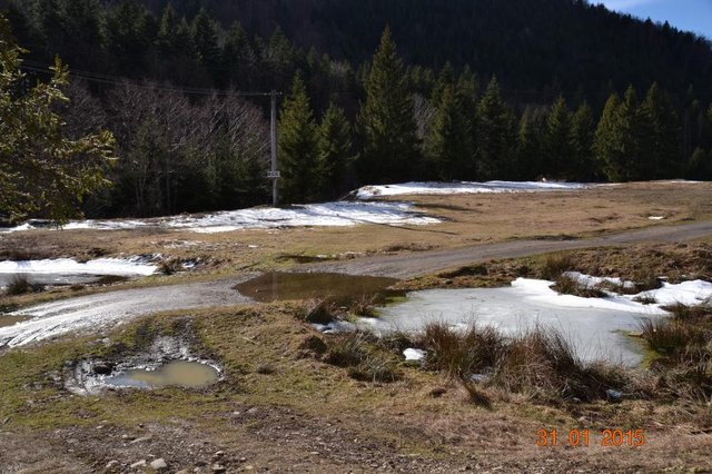 DSC_0066.JPG
