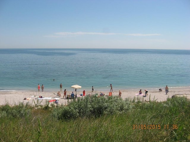 IMG_6874.JPG