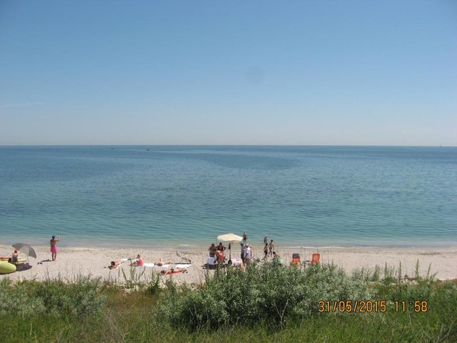 IMG_6911.JPG
