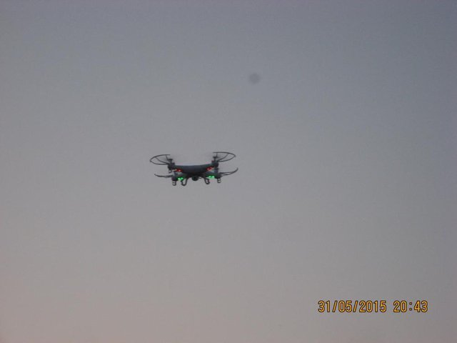 IMG_7073.JPG
