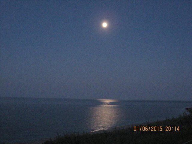 IMG_5089.JPG