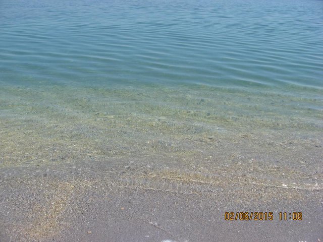 IMG_5149.JPG