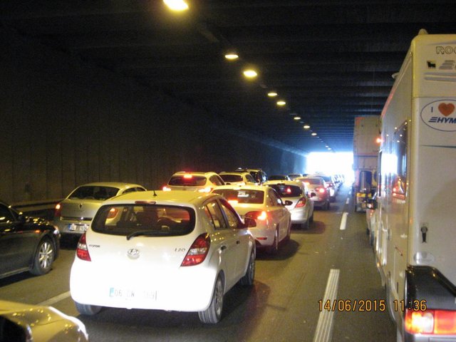 TR202.JPG