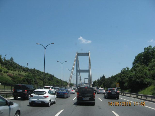 TR206.JPG