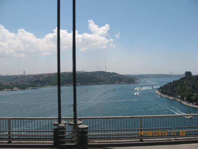 TR208.JPG