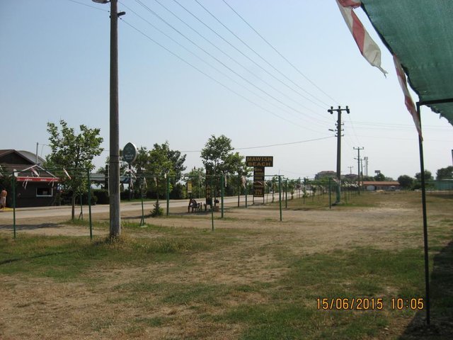 TR348.JPG