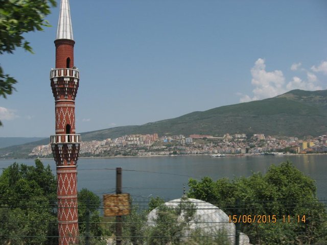 TR355.JPG