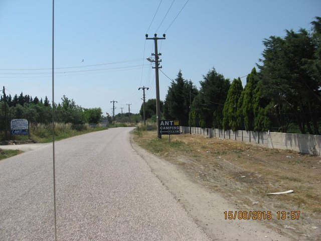 TR477.JPG
