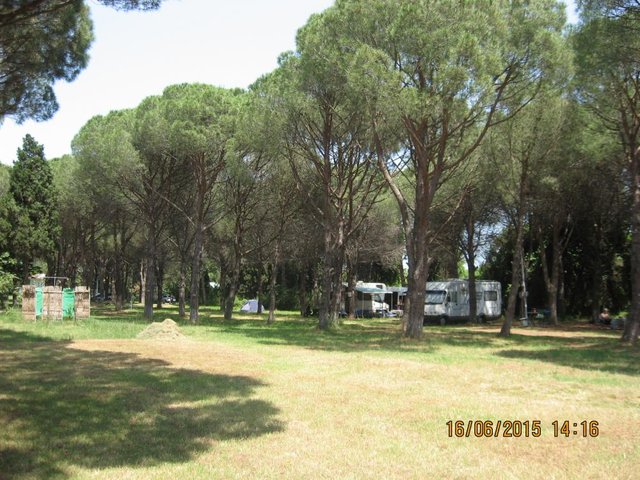 TR520.JPG