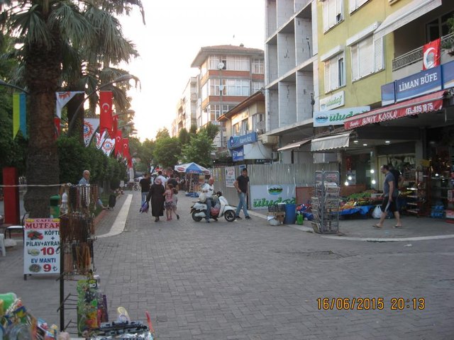 TR545.JPG