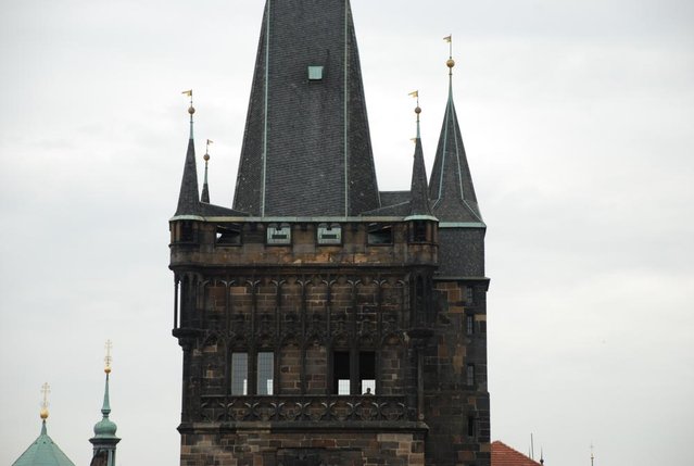 DSC_6426.JPG